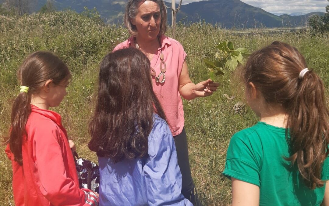 ERBE DI CASA MIA: PICCOLI ESPLORATORI ALLA SCOPERTA DELLA NATURA!