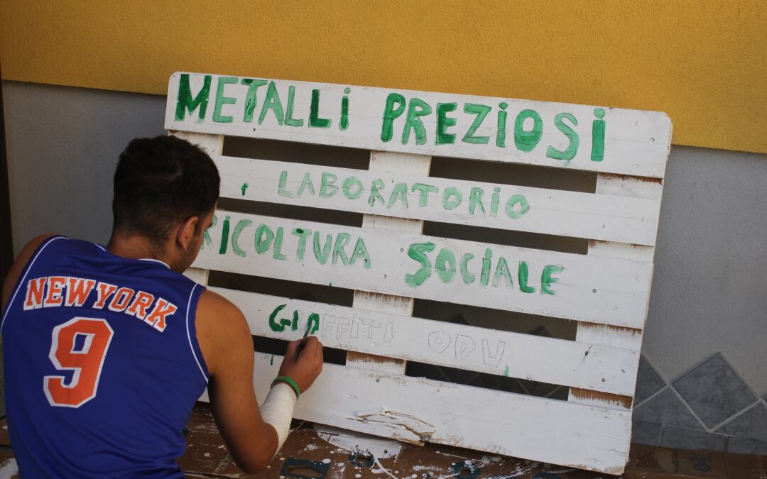 A SALA CONSILINA , L’ORTO DELLA BOTTEGA!